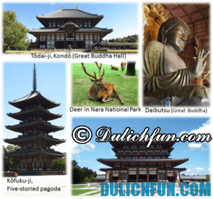 Những điểm tham quan đẹp ở Nara, Nhật Bản được yêu thích