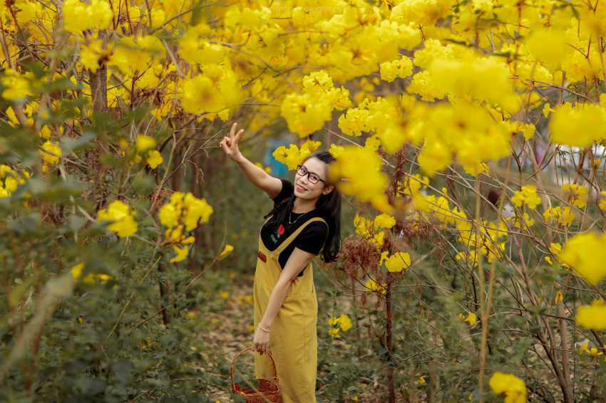 Đón năm mới “thật là vàng tươi” tại vườn hoa chuông đẹp đến lịm tim ở Bắc Giang