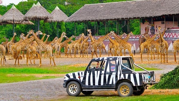 thái lan, kinh nghiệm đi safari world bangkok kèm giá vé mới nhất từ a – z