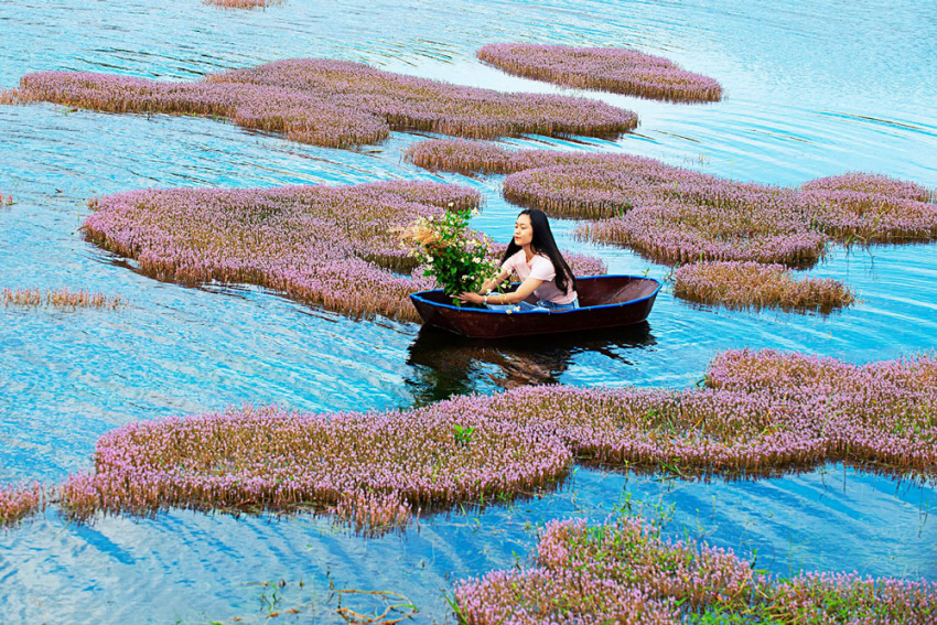 đồi chè tâm châu, du lịch lâm đồng, tảo hồng, hồ tảo hồng ở lâm đồng, chụp ảnh lên cứ gọi là xuất sắc!