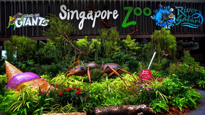 du lịch singapore, woodlands, woodlands – có một singapore thật khác