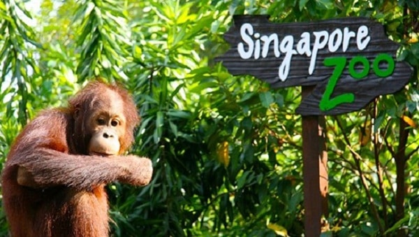 singapore, bảng giá vé tham quan các kdl ở singapore cụ thể, mới nhất