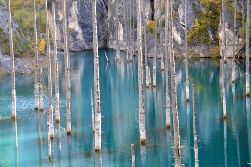 hồ nước kaindy, vẻ đẹp hồ kaindy, cảnh tượng có một không hai: rừng cây mọc ngược từ dưới đáy hồ nước
