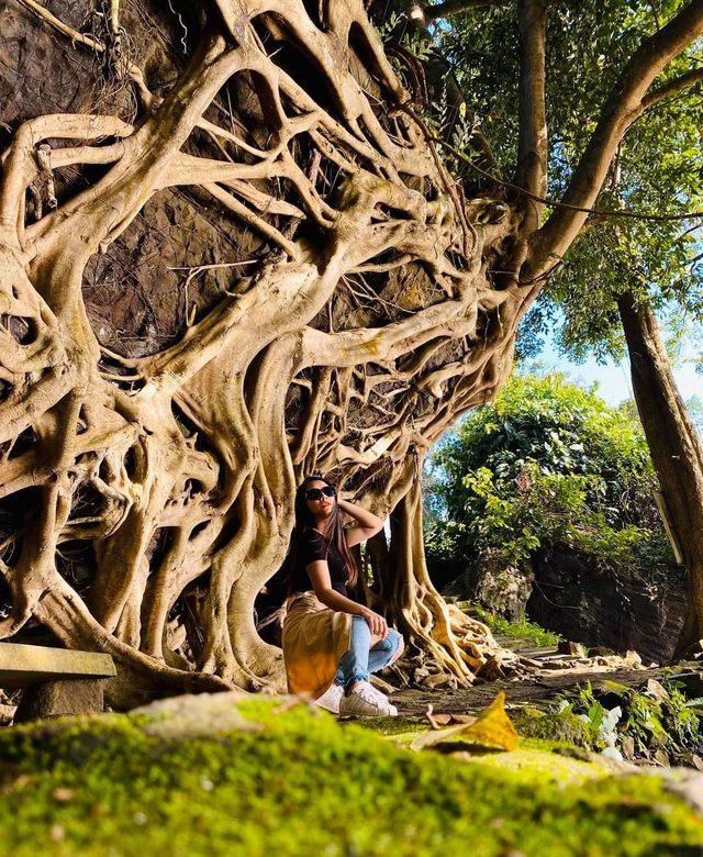 Phát hiện bộ rễ cây cổ thụ khổng lồ hút khách tới check-in ngay giữa lòng Đắk Lắk