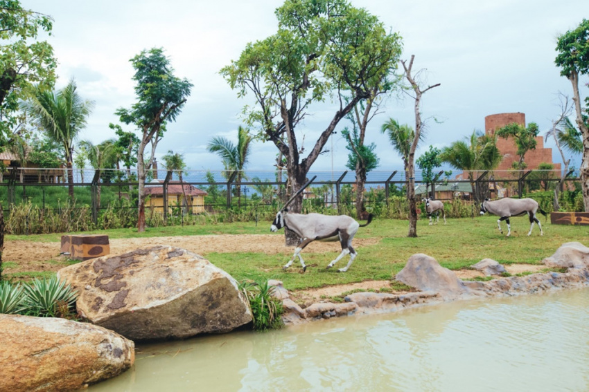 Khu bảo tồn thiên nhiên hoang dã ở Hội An không khác gì “trời Tây”