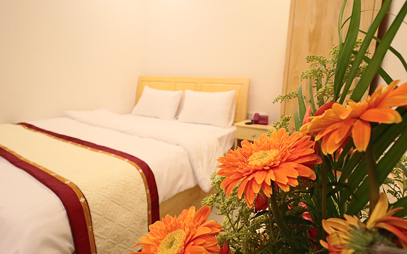 khách sạn tại đà lạt “chất lượng hoàng gia” giá chỉ từ 370.000 vnđ/ đêm