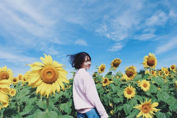 Xuất hiện vườn hoa bốn mùa ‘xanh đỏ tím vàng’, lãng mạn như xứ Hàn tại Đà Lạt