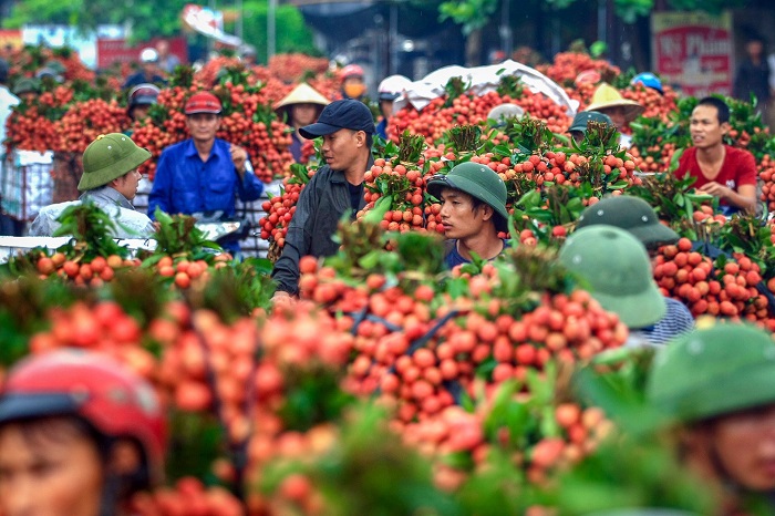 “Ứa nước miếng” với những đặc sản trái cây từ Bắc chí Nam của Việt Nam