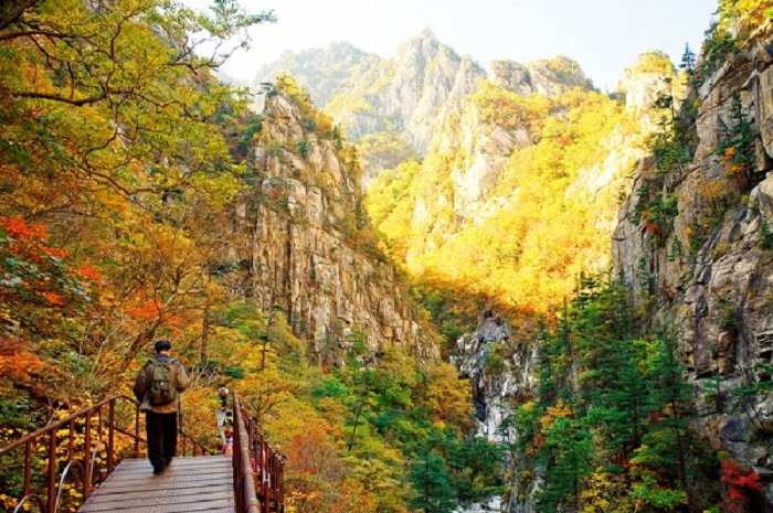 Vườn Quốc Gia Seoraksan nổi tiếng xứ Hàn