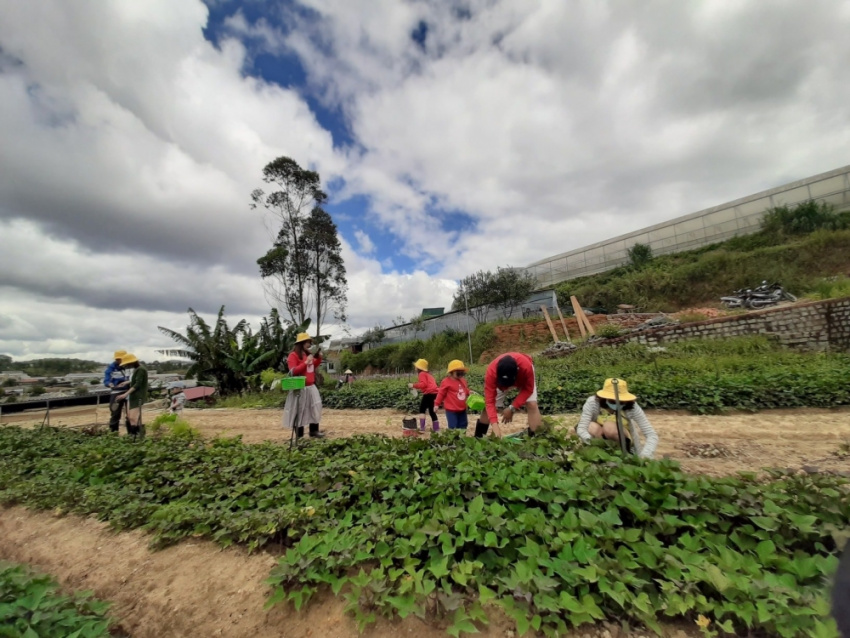 Về Đà Lạt, trải nghiệm “một ngày làm nông dân” tại DaLat Bunny Hill | Yeah Travel
