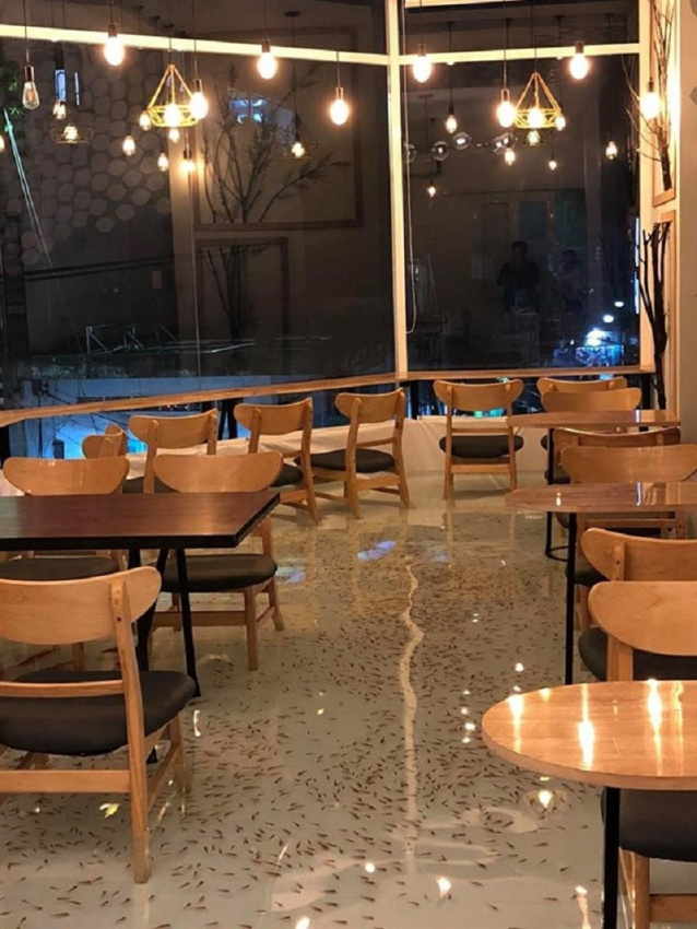 quán cafe,   													amix coffee – cà phê cá lội siêu hot tại 228 phạm văn hai, p 5, q tân bình