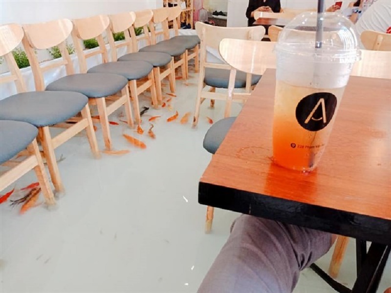 quán cafe,   													amix coffee – cà phê cá lội siêu hot tại 228 phạm văn hai, p 5, q tân bình