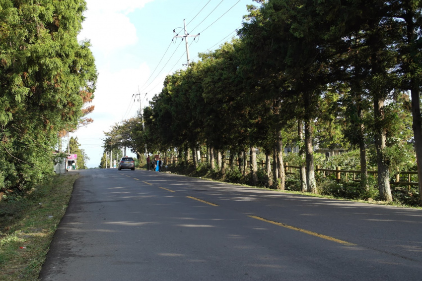 the road mysterious, con đường huyền bí – the road mystrerious
