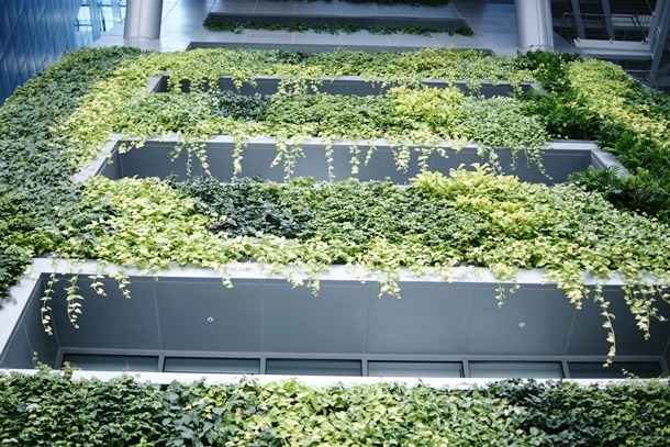 chiêm ngưỡng công trình độc đáo vườn trên tường của thủ đô seoul