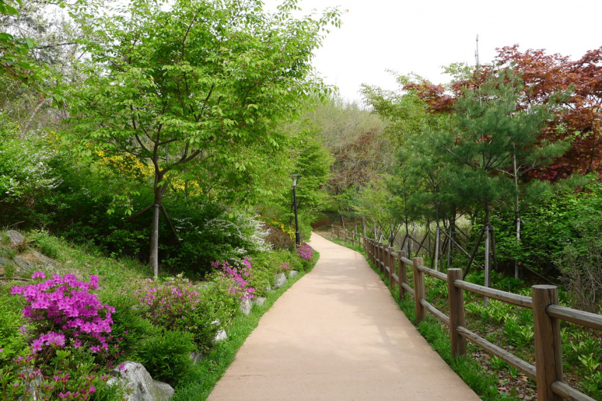 công viên namsan, thăm thú công viên namsan – trái tim xanh của thủ đô seoul