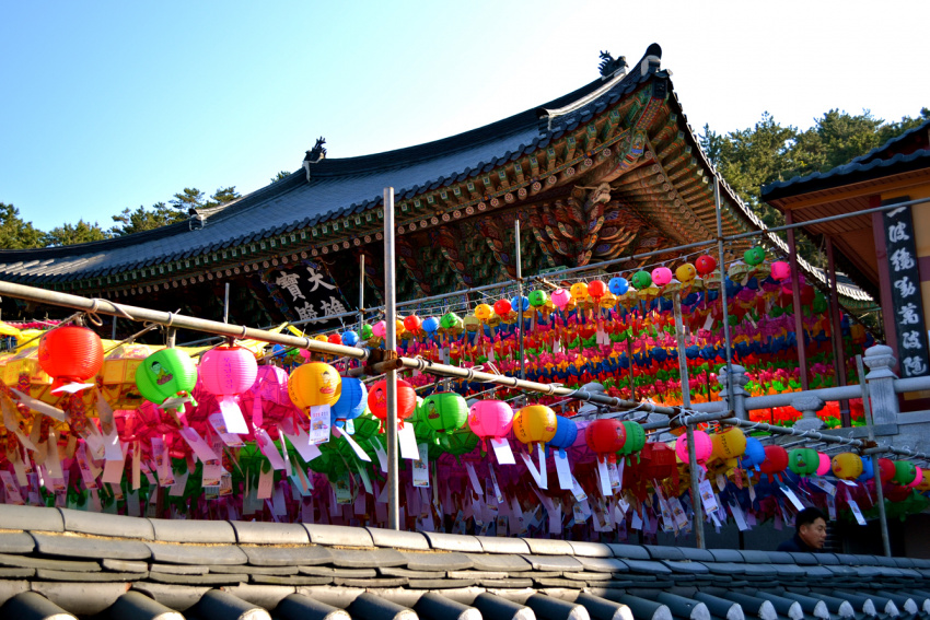 chùa jogyesa, chùa jogyesa- biểu tượng của nền phật giáo hàn quốc