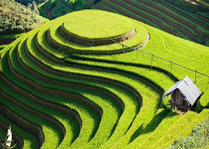 du lịch sapa, đi sapa, lý do tại sao du lịch sapa mùa hè là sự lựa chọn lý tưởng