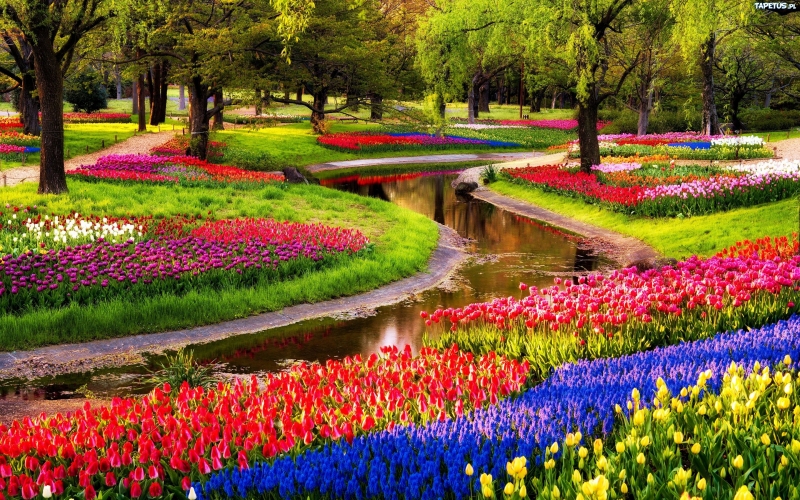 Top 16 Khu vườn có cảnh sắc đẹp nhất thế giới
