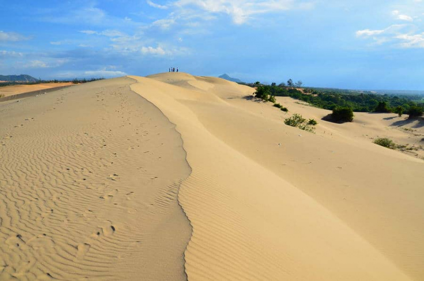 Kinh nghiệm phượt đồi cát Nam Cương, Ninh Thuận cực vui