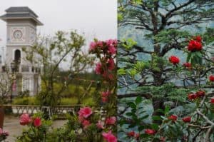 lào cai, review du lịch sapa tháng 5: có gì đẹp, mặc gì, thời tiết?