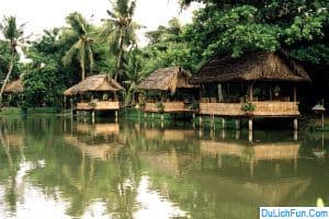 Review Khu du lịch làng nhà sàn Thái Hải Thái Nguyên chi tiết