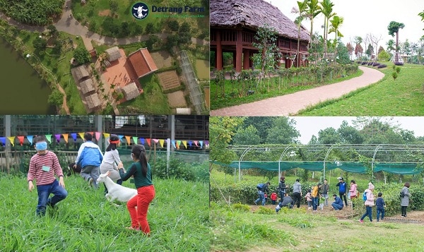 Tổng hợp địa chỉ, ĐT các nông trại giáo dục hot nhất Hà Nội