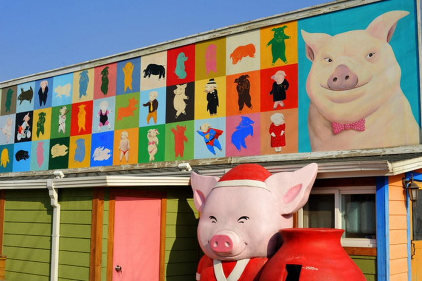 Siêu dễ thương với bảo tàng tàng lợn ở Hàn Quốc