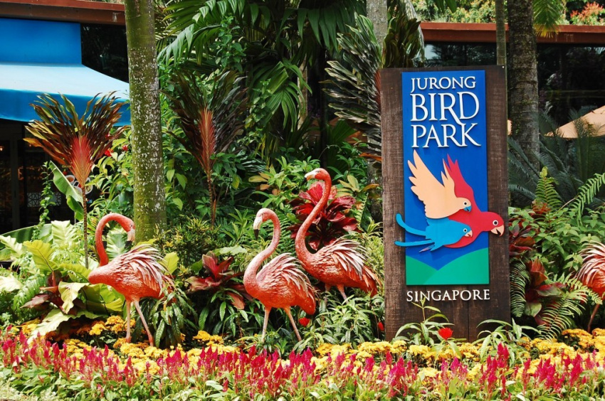 du lịch singapore, jurong bird park, kidzania, singapore botanic gardens, singapore night safari, singapore science centre, singapore zoo, 7 điểm đến “học mà chơi” khi du lịch singapore