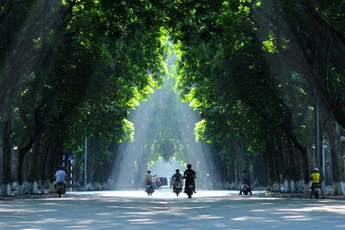 Du lịch Hà Nội: Đi qua những ngày nắng mới thấy yêu thêm những hàng cây