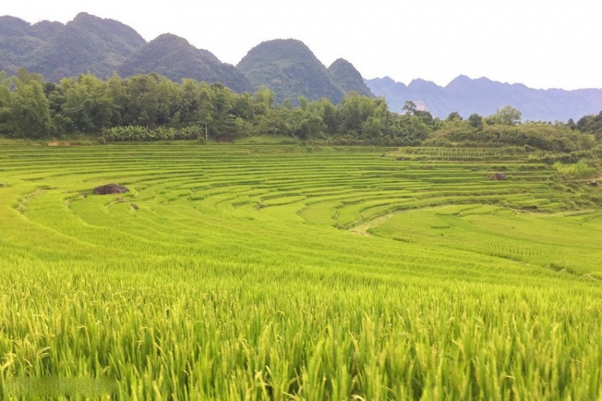 du lịch hè, du lịch hè pù luông – thiên đường của vùng đất thanh hóa