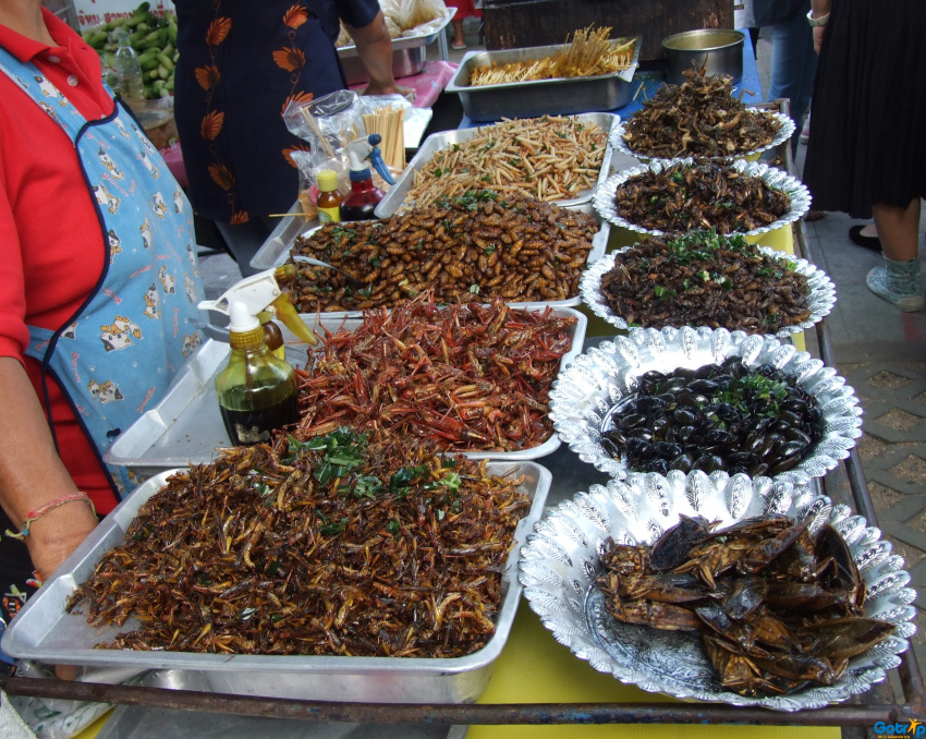 Du lịch Campuchia ăn côn trùng… chiên