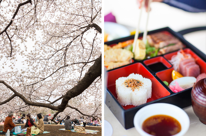 Những món ăn ngon và đẹp mắt từ hoa anh đào ở Nhật Bản