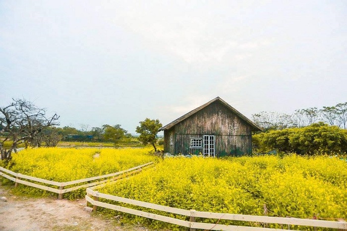 đi hà nội, 2 địa điểm đi chơi gần hà nội siêu chất cho gia đình dịp cuối tuần nhất định phải ghé