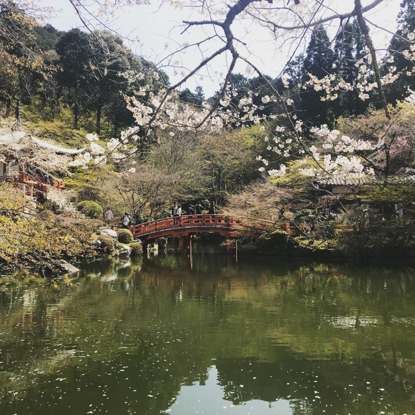 Du lịch Nhật Bản – ngôi chùa đẹp như mơ suốt 4 mùa