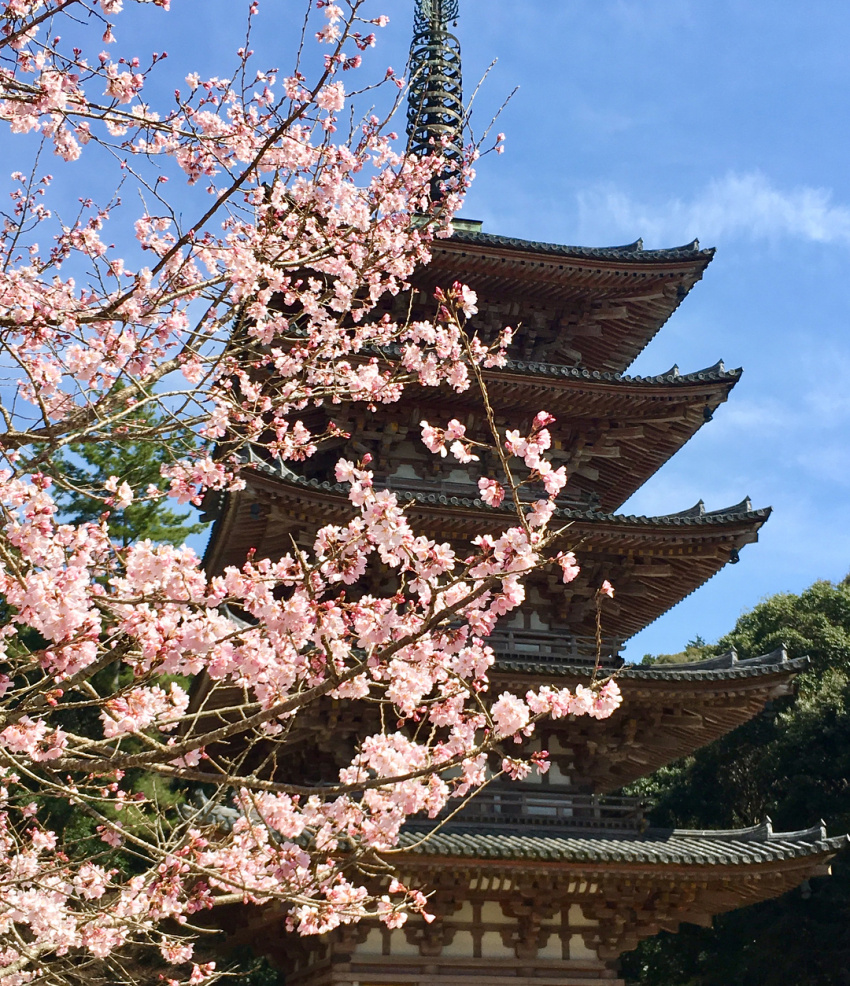 chùa daigo-ji, du lịch nhật bản – ngôi chùa đẹp như mơ suốt 4 mùa