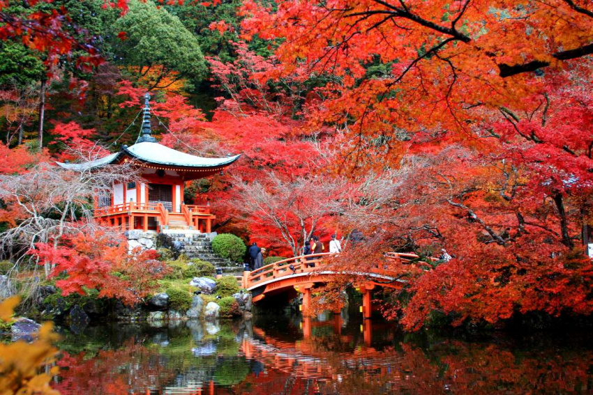 chùa daigo-ji, du lịch nhật bản – ngôi chùa đẹp như mơ suốt 4 mùa