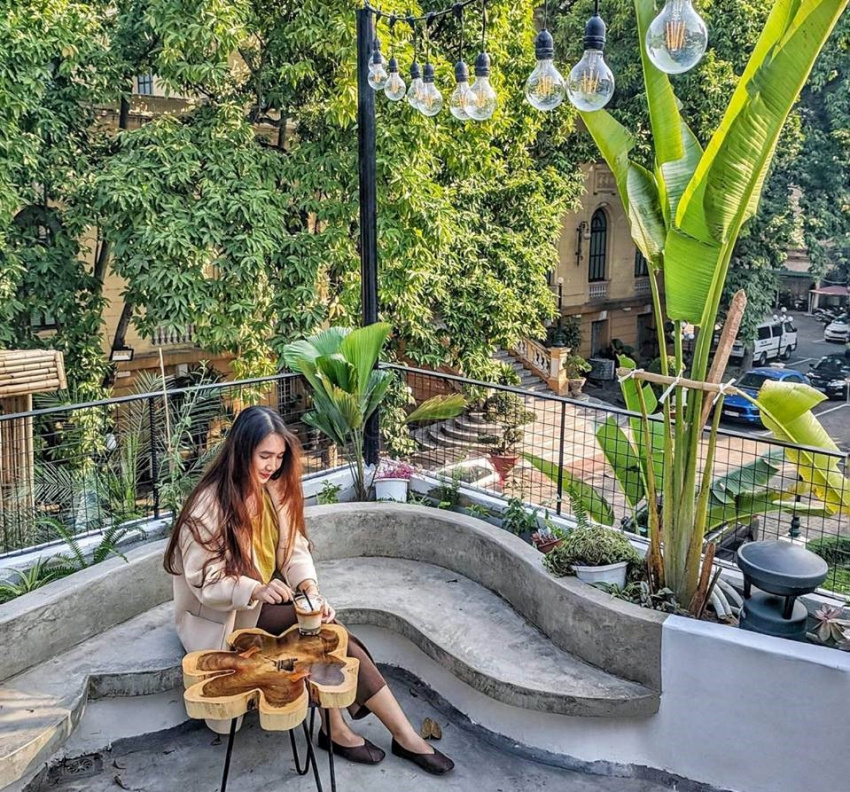 Cà phê cây xanh – nốt lặng trong bản nhạc mùa hè của Hà Nội