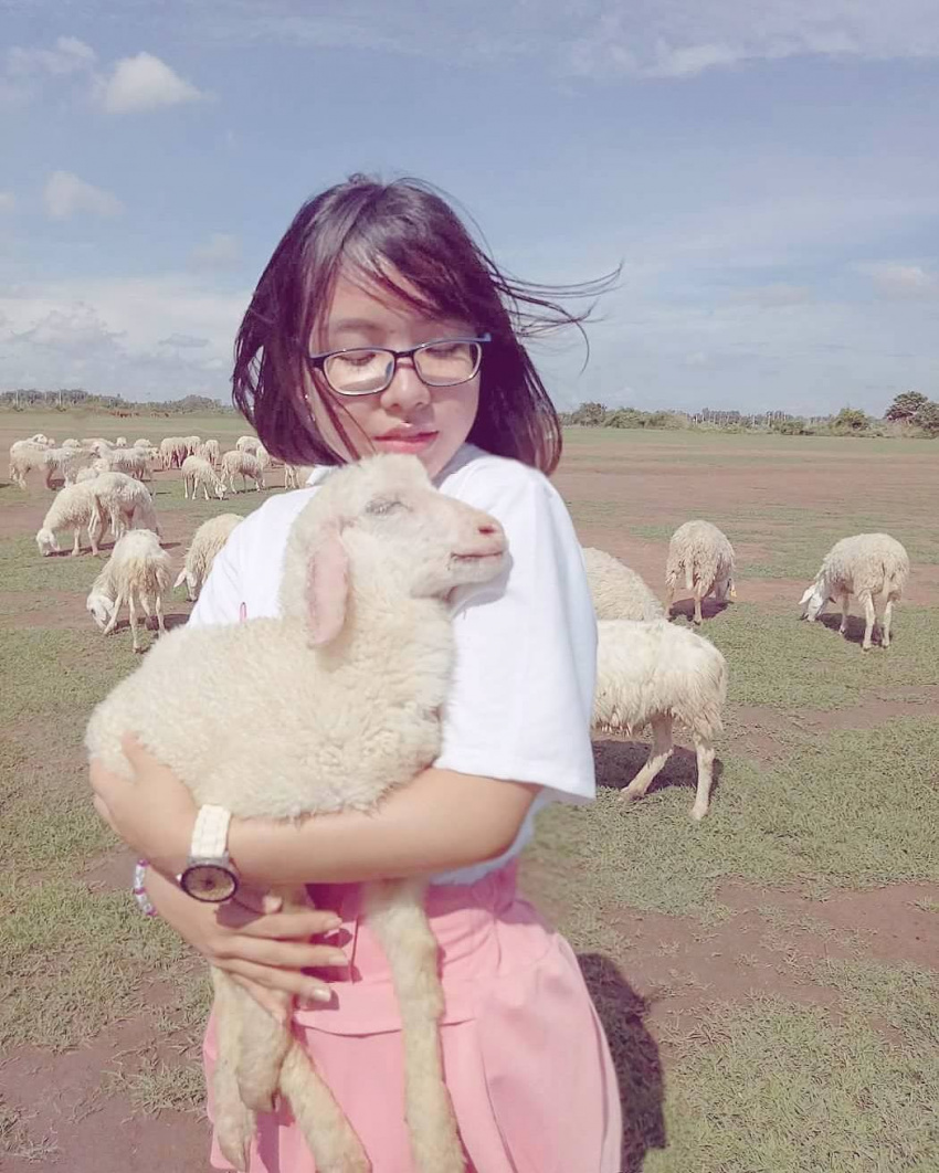cánh đồng cừu, cánh đồng cừu – địa điểm chụp ảnh “hot mãi” khi du lịch vũng tàu