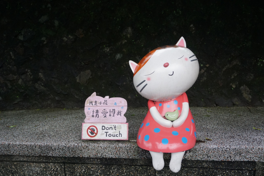 chudu24 đài loan, du lịch đài loan, houtong taiwan, bốc team nơi dành cho những “kẻ cuồng mèo” ở du lịch đài loan