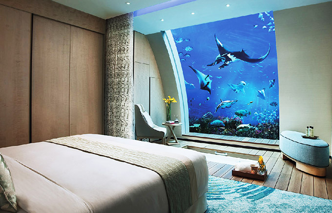 Khách sạn nơi bạn trải nghiệm ‘ngủ’ dưới thuỷ cung ở Singapore