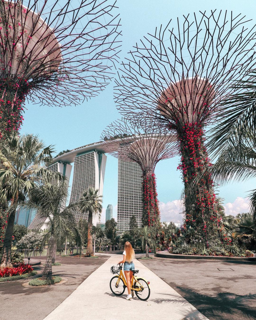 du lịch singapore, ưa thích background rực rỡ đừng bỏ qua những “thánh địa sống ảo” khi du lịch singapore