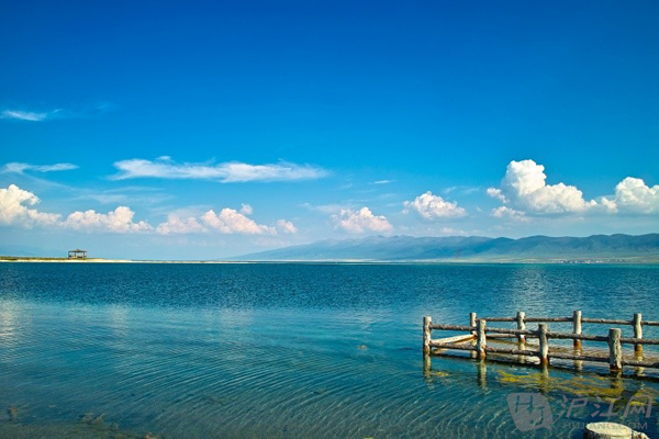 hồ koko nor, hồ thanh hải, hoa vàng trời xanh đẹp mơ màng ở hồ lớn nhất trung quốc