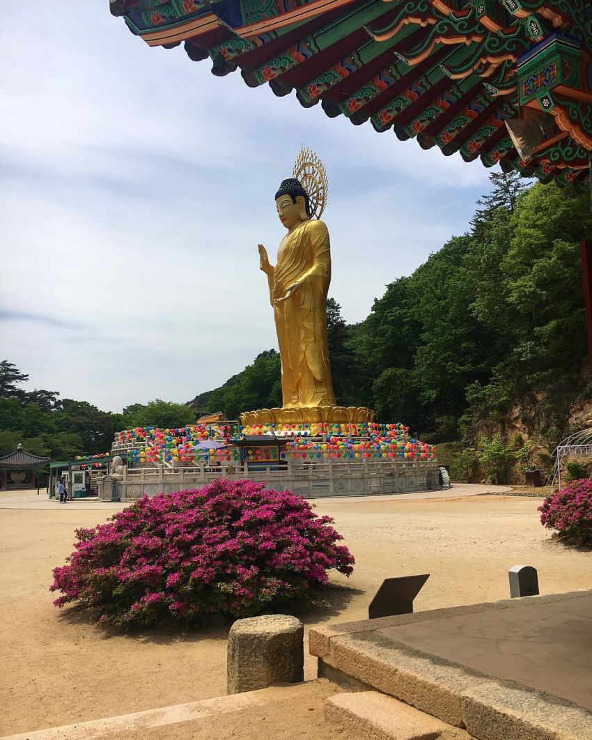 chùa beopjusa, chùa bulguksa, chùa manggyeongsa, chùa seokbulsa, chùa tapsa, những ngôi chùa đẹp nhất chắc chắn phải ghé qua khi du lịch hàn quốc