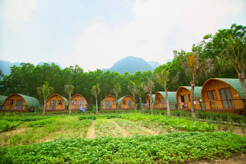 Oanh tạc Chày Lập Farmstay – Thiên đường cắm trại siêu hot khi du lịch Quảng Bình