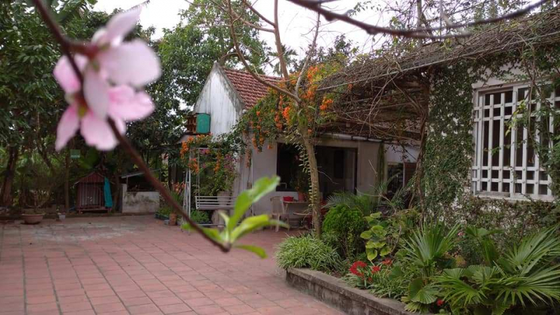 Top 8 Homestay, nhà nghỉ giá rẻ view đẹp ở Nam Định