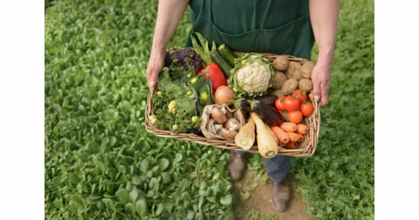 cách làm,   													thực phẩm hữu cơ có đắt không? phân biệt như thế nào?