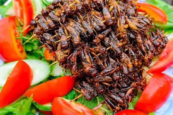 cách làm,   													điểm danh top 5 món ăn từ côn trùng lạ nhất việt nam