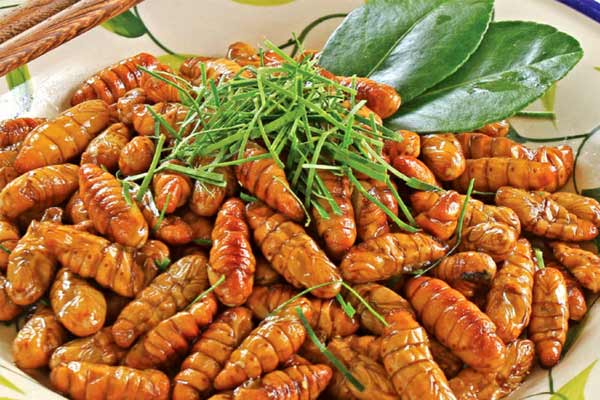 cách làm,   													điểm danh top 5 món ăn từ côn trùng lạ nhất việt nam