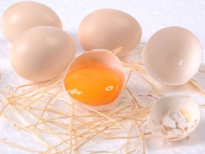 Trứng gà kỵ gì để tránh gây ra nguy hiểm cho cơ thể?