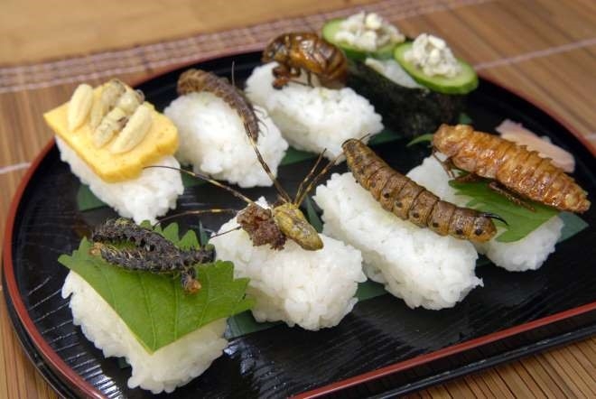 Top 11 món ăn kinh dị chỉ có  ở Nhật Bản bạn sẽ không tin nó có thật